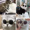 Bril Kat Huisdier Producten Eye-wear Zonnebril Voor Kleine Hond Kat Huisdier Foto Props Accessoires Best Selling Huisdier yq01337