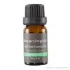 6 Adet /% 100 Saf Doğal Aromaterapi Yağları Kiti 10ml Nemlendirici Suda Çözünür Parfümü Yağ Masaj Vücut Esansiyel Yağı Seti BH2317 CY Set