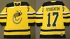 qq88 Vintage Cincinnati Stinger Jersey 1 MIKE LIUT 4 BARRY MELROSE 8 ROBBIE FTOREK RICK DUDLEY MIKE GARTNER 27 MARK MESSIER Stoughton CCM Hockey