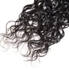 Pacotes cabelo indiano do cabelo Virgin extensões Atacado peruana brasileira com fecho Onda de água 4pcs com 13 * 2,5 Lace frontal