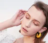 Europese en Amerikaanse temperament retro overdreven acryl oorbellen C-vormige mode oorbellen gepersonaliseerde oorbellen WY503