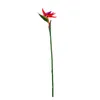 3 Pcs/lot 80CM High Simulation PU Flower Feel Small Bird Of Paradise Bird For Home Decoration Display Photograp Prop Court Furnishings Fake Flowers