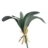 Gerçek Dokunmatik Orkide Yaprak Bitki 10 adet Yapay Kelebek Yeşillik Bitkiler 5 Düğün Çiçek Çiçek Aksesuarları Için Yapraklar