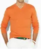 Kostenloser Versand hochwertige Männer Baumwolle Polo Pullover Strickpullover Kleidung kleines Pferd Sweatshirt Pullover Mode Pullover Pullover