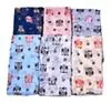 Gros-Femmes Foulard Écharpes Hiver Automne Femme Écharpe 6 Couleur Dessin Animé Hibou Imprimer Foulards En Gros New Hot Femme Hijab Livraison Gratuite