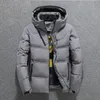 2019 blanc canard doudoune hommes hiver neige Parkas épais chaud à capuche manteaux pardessus décontracté coupe-vent veste mâle vers le bas Parkas