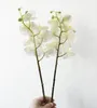 Impressão em computador 3D artificial Borboleta orquídea uma peça sete flores e três frutas flores artificiais decorações de casamento