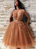 2019 New Sexy Homecoming Dresses With Sashes Deep V Neck Tulle Cocktail Party Gown Knee Length Appliques Backless Tiered Skirts Prom Dresses