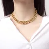 Vendita calda Gioielli di alta qualità Collana in acciaio inossidabile Uomo Personalità casual Catena ruvida Collana punk vintage da donna