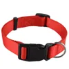Collar de nailon ajustable para perro, collares para cachorros de Color puro, azul, negro, rojo, con hebilla y Clip para correa