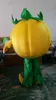 2019 Hoge kwaliteit groente pompoen cartoon poppen mascotte kostuums rops kostuums Halloween gratis verzending