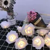 1 -10 m roze krans LED -snaren Serieel licht Nacht Decoratie Fairy Lights For Wedding Christmas Party Decorations Batterij Power Usalight