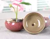 Fleshy Flower Pot Flower Ice Crack Ceramic Desktop Small Flower Pot Ceramic Crafts Bottom Hole2813828