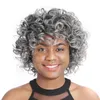 ZM Newstyle 12quot Short Afro Wigs Synthetic Mixed Ombre Grey Kinky Curly Wig for BlackWhite Women High Temperature Fiber Ameri4435577