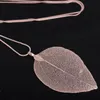 Fashion Luxury Sweater Necklaces Ladies Girls Special Leaf Pendant Necklace Long Chain Jewelry for Womens Gift