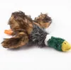 Śliczne zabawki dla psów Puppy Puppy Plusz Plusz Cartoon Animals Wiewiórka bawełniana lina wół kształt kaczki w kształcie kaczki