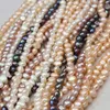 En gros 100% réel 4-9mm multicolores naturelles d'eau douce irrégulière perle perlée en vrac perle brin baroque perle brins collier