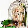 Zabawka żucia naturalne dla zwierząt ptasiej papuga ara Afryki Gray Budgie Parakeet Cockatiels Conure Lovebird Bites Swing Cages Toys