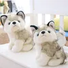 Kawaii Puppy Plush Toy Toy Simulação fofa de cachorro Husky Toys de luxuos