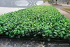 25 см * 25 см искусственная трава пластиковый самшит коврик подстриженные дерево милан трава для украшения дома свадебный сад искусственные растения