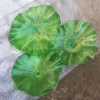 Modern Soyut Lambalar Sanat Mavi ve Yeşil Dekoru Çiçek Plakası 100% El Üflemeli Cam Asılı Plakalar Duvar Sanatı