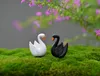 Bouteille de cygne en plumes noires et blanches XBJ075, 10 pièces, fournitures de décoration en mousse, micro paysage, décoration de jardin, artisanat créatif