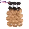 13x4 Lace Frontals With 3 Bundles Honey Blonde Ombre Peruvian Virgin Body Wave Human Hair Weaves Closure T1B/27 Colored Bundles With Frontal