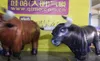 Sisme Komik Sisme Şişme Bull Takım Elbise Şişme Boğa Güreşi Boğa Maskot Kostüm İçin İspanya Şehir Parade Dekorasyon
