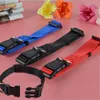 Collier réglable en Nylon pour chien, bleu, noir, rouge, couleur Pure, collier pour animaux de compagnie, avec boucle et Clip pour plomb