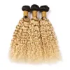Sarışın Ombre Brezilyalı Islak ve Dalgalı Dokuma İnsan Saç Paketler Koyu Kök # 1B 613 Ombre Su Dalga Bakire Saç Atkı Uzantıları 300Gram