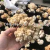 Raw Minerals Mixed Random Size Random Color Free Shape Natural Stone Calcite Cluster 2000 Grams Rough Crystal Flowers Specimen Collection