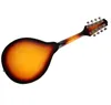 Sunburst – Instrument de musique mandoline en tilleul à 8 cordes, avec cordes en acier en palissandre, Instrument à cordes, pont réglable4678550