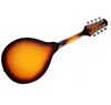 Sunburst 8-String Basswood Mandolin Musical Instrument with Rosewood Steel String Mandolin Stringed Instrument Adjustable Bridge