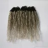 4T24 1BTgray12 14 polegadas Micro Anel Extensões de Cabelo 400slot Kinky Hair 12 14 polegadas 05g Strand 4T27 Kinky Curly Micro Ring Loop H7845385