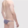 Erkekler Underpant Briefs esneklik torbası düşük bel seksi iç çamaşırı bikini ince buz ipek yüksek çatal men039s külot kayma hombre unterh5241729