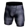 lycra esportes shorts mens