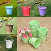 Garden Planters Mini Flower Metal Hanging Pots Home Balcony Wall Vertical Hang Bucket Iron Holder Basket With Removable Tin Snack Organizer