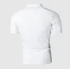 E-BAIHUI marque Polos hommes Polos coton à manches courtes Camisas Polo décontracté col montant homme Polo ZT79