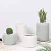 Cylindrical Ceramic Planters Set - 3pcs Matt Porcelain Flowerpot Mini Geometric Succulent Plant Pots Flower Pot Bonsai Planters