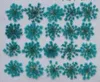 エポキシ樹脂のペンダントネックレスジュエリー作りのための120pcsの圧迫された乾燥のAmmi Majusの花乾燥植物