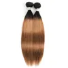 remy two tone hair