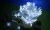 10M 6M 4M 3M small five-pointed star battery light beaded stars holiday wedding Christmas decoration string lights