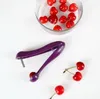 Lätt körsbärsfruktkärnor Seed Remover Kärnverktyg Gadgets Red Jujube Pitter Cores Tools Köksredskap i papperskortpaket
