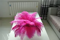Atacado 100 pçs / lote 12-14 polegada (30-35 cm) Hot Pink penas de avestruz plumas fúcsia pena para peças centrais do casamento decorações de natal