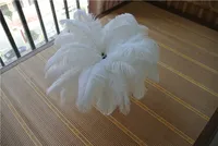 50 unids blanco pluma de avestruz pluma para la pieza central de la boda decoración de plumas de navidad boda mesa en casa decoración del partido fuente
