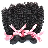 Curly Brazilian Virgin Hair Bundles Wholesale Deep Curly Human Hair Weave Wavy Hair Extensions 10pcs/lot Greatremy Factory Fast Shipping