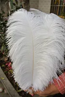 Atacado 50 pçs / lote 18-20 polegadas (45-50 cm) plumas de plumas de penas de avestruz para mesa de Casamento peças centrais de mesa de festa pena fornecimento de evento