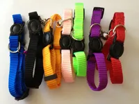 Free shipping adjustable breakaway safety buckle cat nylon solid color pure color collar puppy collar seven colors 70pcs/lot