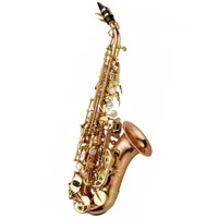 Nytt märke Japan Yanagisawa SC-WO20 Curved Sopran Saxofon B Flat Brass Gold Lacquer Music Instruments Sax med munstycke Gratis frakt