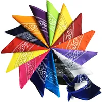 Paisley Cowboy Hip hop Bandanas Handkerchief fashion mask Printed Square riding hooded scarf Multicolors Muffler for Men Women